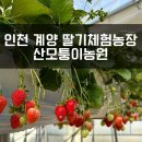 산모퉁이농원
