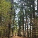 평창(하)휴게소(1)