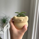 에피어뮤즈 이미지