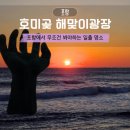애니카랜드죽도점 | 포항 호미곶 해맞이광장 해맞이공원 상생의손 일출 명소 위치 주차장