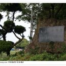 제주 납읍리 난대림 네이버블로그