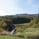 오투골프 이미지