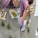 서호하단병원 이미지