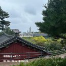 해파랑길 41코스 🇰🇷 휴휴암, 양양-속초 구간 / 우중 둘레길 (with 착장..)