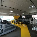 에코 휘트니스 이미지