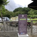 양평새길약국 | 서울근교 드라이브_양평 용문사에서 피톤치드 가득 느끼고 온 후기/ 은행나무 상징:) (교통,입장료,편의...