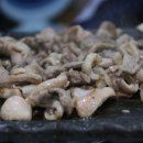 백송생고기 네이버블로그