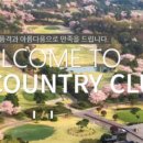 동포제일