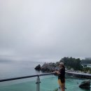 추암해변 | 동해 추암해변 촛대바위 &amp; 출렁다리 완벽 후기 (주차·코스·포토존 총정리)