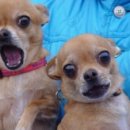 한얼태권도장 이미지