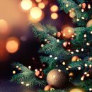 광시생고기 이미지