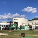 우신카랜드 | 평창 여행 : 휘닉스평창 루지랜드 (가격, 운영시간)