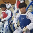 용인대 금곡 태권도 이미지