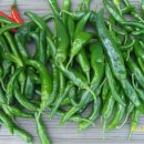 시흥1동 주민센터 이미지