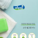 셀그린주 이미지