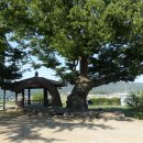 문주1리 이미지