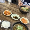 달맞이길 35 | [부산] 2박 3일 뚜벅이 여행 코스 추천 ｜숙소·동선·맛집 총정리