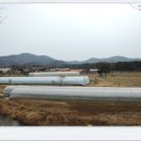 안계1리 이미지