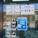 진산메밀막국수