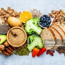 루다피티 이미지