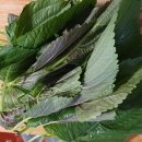 마리산 마트 이미지