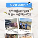 다모여투어