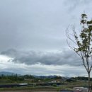 강남골 - 강남구 논현동 | 강남골