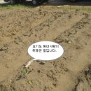 을숙도농장