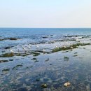 해맞이마트 이미지