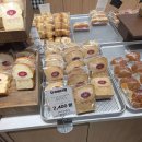 대원당 | 춘천 대표 빵집 대원당 내돈내산 이용후기 대표메뉴 리뷰