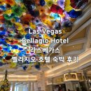 벨라지오 관광호텔 | [미국 라스베가스 여행] 라스 베가스 벨라지오 호텔 투숙 후기 숙박 요금 구경할만한 곳 싸게 예약 꿀팁