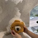 두루두루(Duruduru)