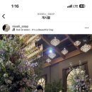 로젤리스냅 이미지