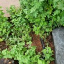 (주)하이엠디 이미지