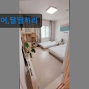 어,달달하리 이미지