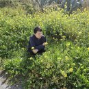 해변의 바람 이미지