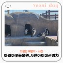 초양마루 이미지