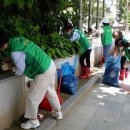 인도변 화단 이미지