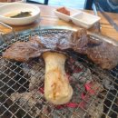 호호제주 이미지