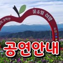 공연안내 아라리품바 거창 감악산 꽃&별여행 축제 이미지