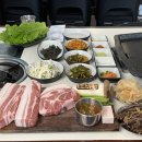 도새기상회