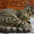 영광농협주유소 이미지