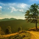 Reminiscence 이미지