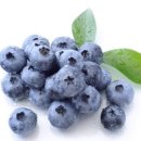 스타휘트니스 이미지