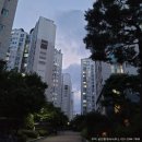 기흥호수 공인중개사사무소 이미지