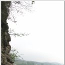 부엉덤이 Daum카페