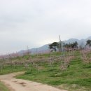 장자농장 이미지