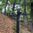 서울 서북 3산 연계산행 ( 백련산 - 안산 - 인왕산 )