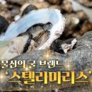 우리물산 이미지