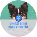 이의종동물병원 이미지